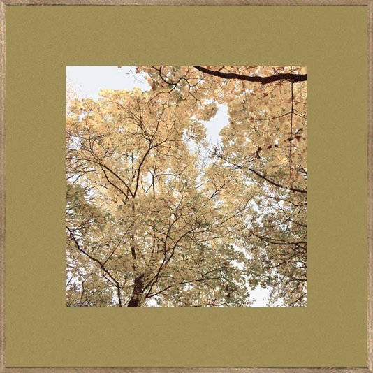 Conjunto de Quadros Paisagens Florestas Kit com 3 Quadros de 30x30 cm
