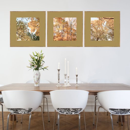 Conjunto de Quadros Paisagens Florestas Kit com 3 Quadros de 30x30 cm