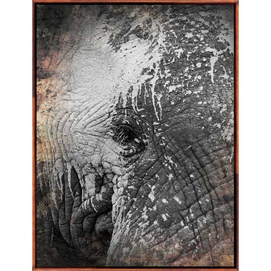 Conjunto Tela Canvas Animais em Preto e Branco Kit com 3 Quadros
