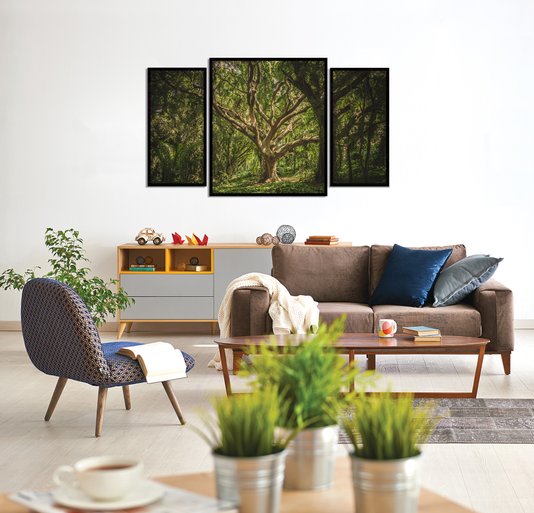 Kit de Quadros Decorativos Floresta Hawaii Árvores  130x70cm