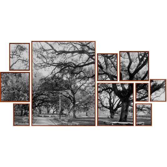 Conjunto de Quadros Telas Decorativas Paisagem Parque Kit com 10 Quadros
