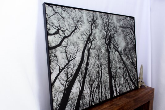 Quadro Tela Decorativa com Moldura Paisagem Floresta Árvores sem Folhas 150x115cm