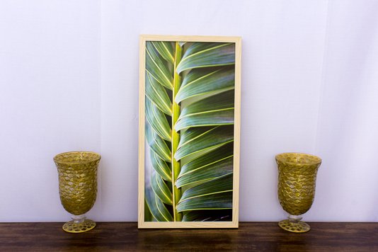 Quadro Decorativo com Vidro Folha de Palmeira II - 30x60cm