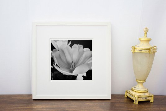 Quadro Decorativo em Preto e Branco Flor Tulipa 50x50cm