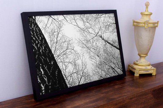 Conjunto de Quadros Árvores em Preto e Branco 4 Quadros - Escolha o Tamanho