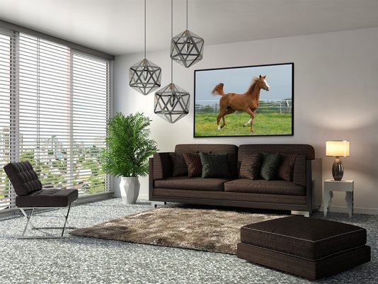 Quadro Decorativo Cavalo Marrom em Paisagem de Campo Escolha o Tamanho