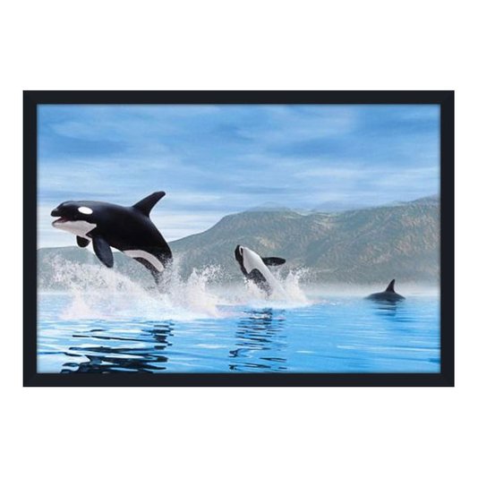 Gravura Poster para Quadros Orcas 90x60cm