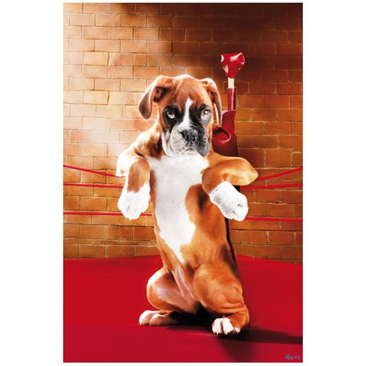 Gravura Poster para Quadros Pet Dog Boxer 60x90cm