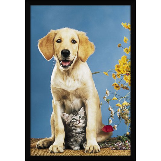 Gravura Poster para Quadros Pets Cachorro e Gato 60x90cm