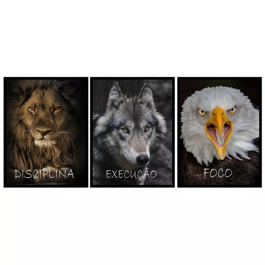 Kit de Quadros Animais Poderosos Disciplina Leão, Execução Lobo e Foco Águia