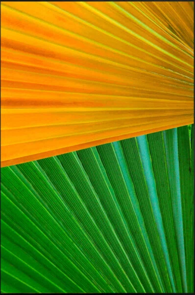 Kit de Quadros Botânicos Tropical Folhagem Verde e Amarelo 80x140 cm Cada Quadro