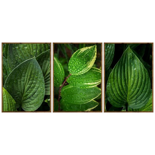Kit de Quadros Moldura Rústica Folhas Verdes Kit com 3 Quadros de 70x100cm