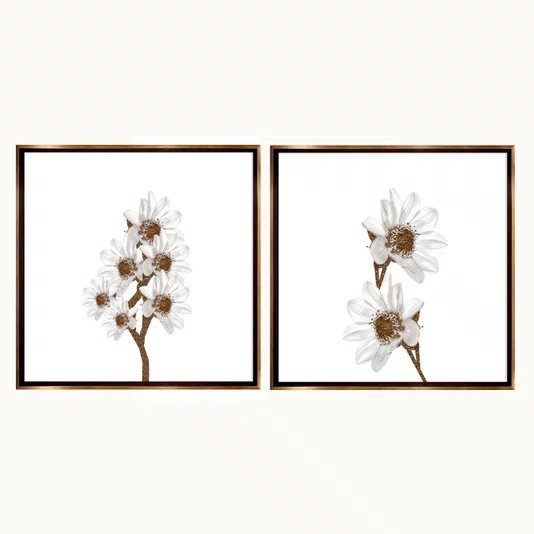 Kit de Quadros Florais Branco e Dourado Moldura Laqueada Bronze 70x70 cm Cada Quadro