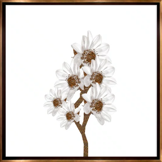 Kit de Quadros Florais Branco e Dourado Moldura Laqueada Bronze 70x70 cm Cada Quadro