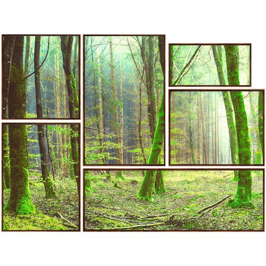 Kit de Quadros Imagem Floresta Tela Canvas com Moldura