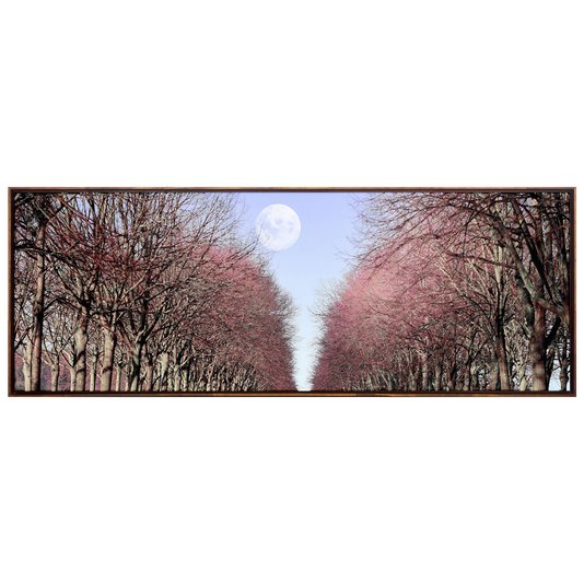Kit de Quadros Paisagem Estrada Ladeada Árvores 140x100cm