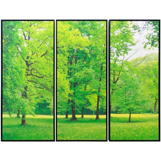 Kit de Telas Decorativas com Moldura Parque com Árvores Floridas Kit com 3 quadros 58x133cm