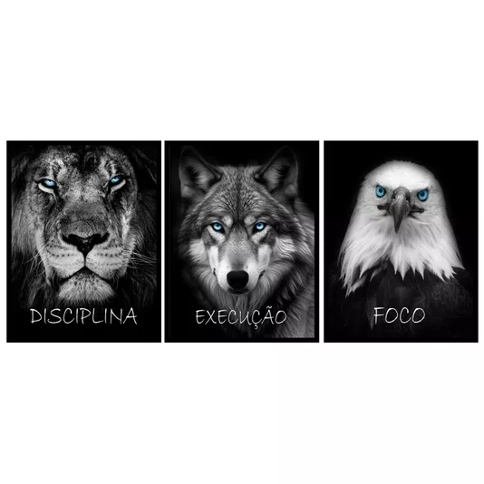 Kit Quadros Motivacionais Animais, Leão Disciplina, Lobo Execução e Águia Foco