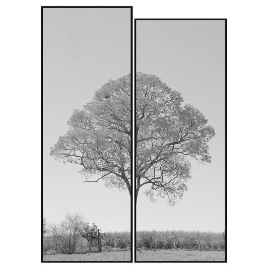 Par de Quadros Decorativos Árvore em Preto e Branco Kit 150x210cm