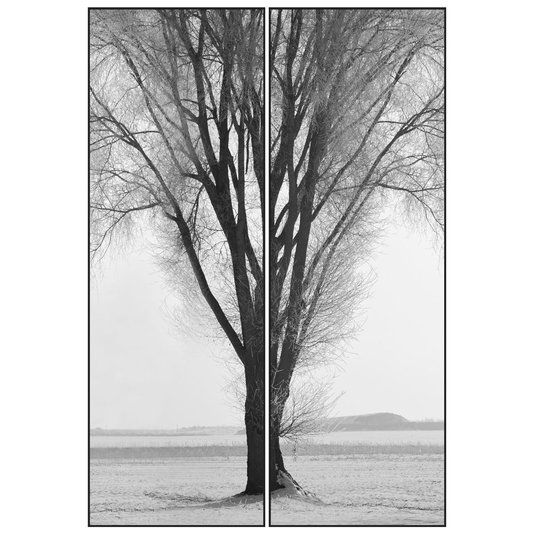 Par de Quadros Grandes em Preto e Branco Árvore Sem Folhas 120x180cm