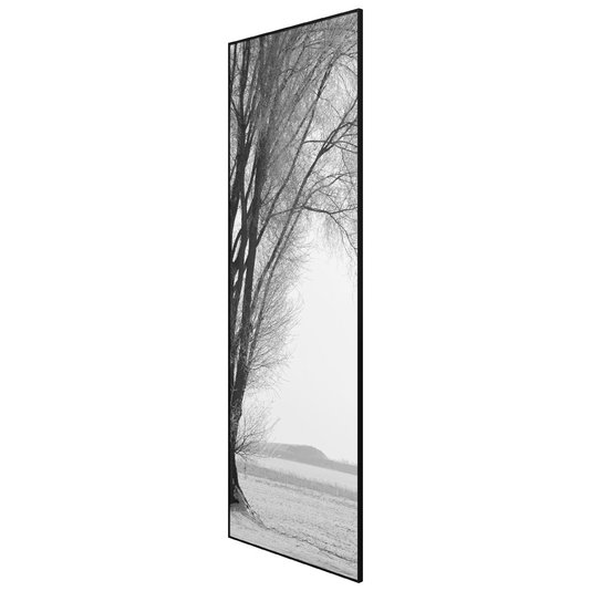 Par de Quadros Grandes em Preto e Branco Árvore Sem Folhas 120x180cm