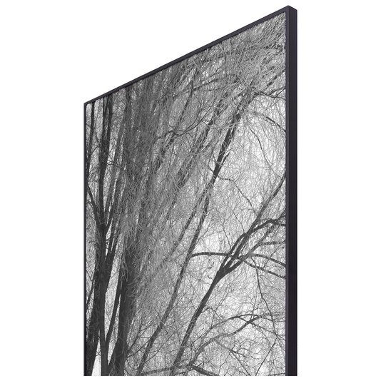 Par de Quadros Grandes em Preto e Branco Árvore Sem Folhas 120x180cm