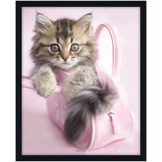 Poster Filhote de Gato Dentro de Bolsa Rosa 40x50cm com/sem Moldura