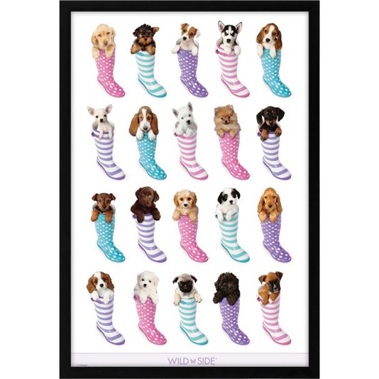 Poster Pets Filhotes Dentro de Botas 60x90cm com/sem Moldura