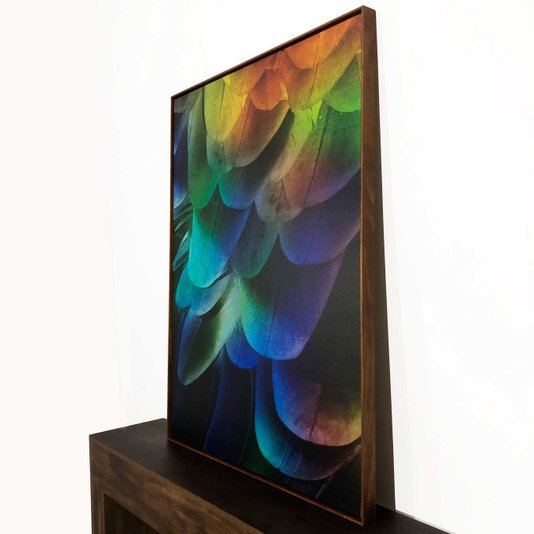 Quadro Canvas Arte Abstrata Penas de Arara: Sofisticação com Moldura Marrom