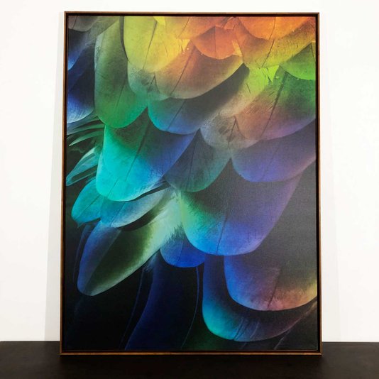 Quadro Canvas Arte Abstrata Penas de Arara: Sofisticação com Moldura Marrom