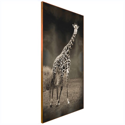 Quadro Canvas com Moldura Tela Imagem de Girafa 120x210 cm