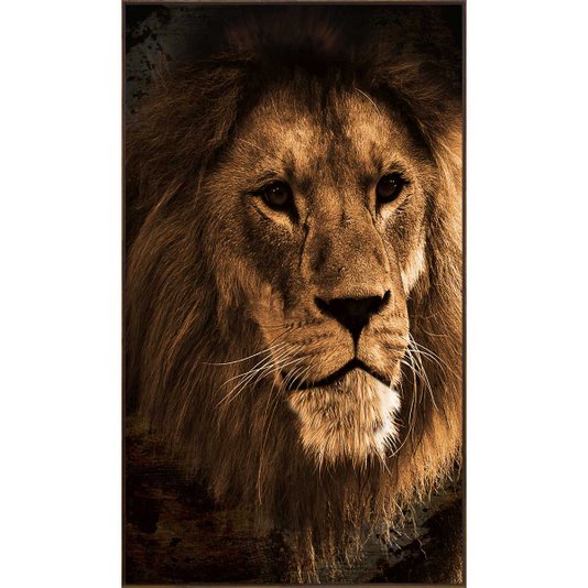 Quadro Canvas com Moldura Tela Imagem Leão Africano 120x210cm
