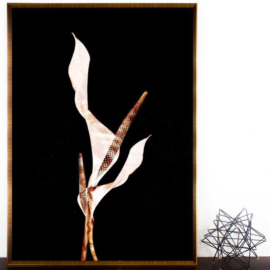 Quadro com Moldura Chanfrada Arte Copo de Leite em Fundo Preto 70x100 cm