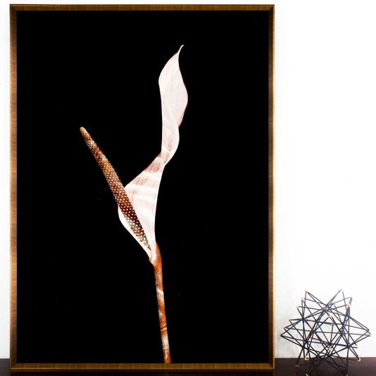 Quadro com Moldura Chanfrada Copo de Leite em Fundo Preto 70x100 cm