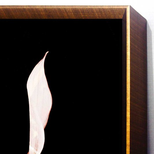 Quadro com Moldura Chanfrada Copo de Leite em Fundo Preto 70x100 cm