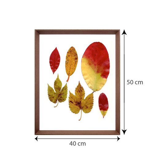 Quadro com Moldura Chanfrada Marrom Folhas de Outono 40x50cm