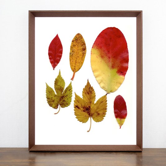 Quadro com Moldura Chanfrada Marrom Folhas de Outono 40x50cm