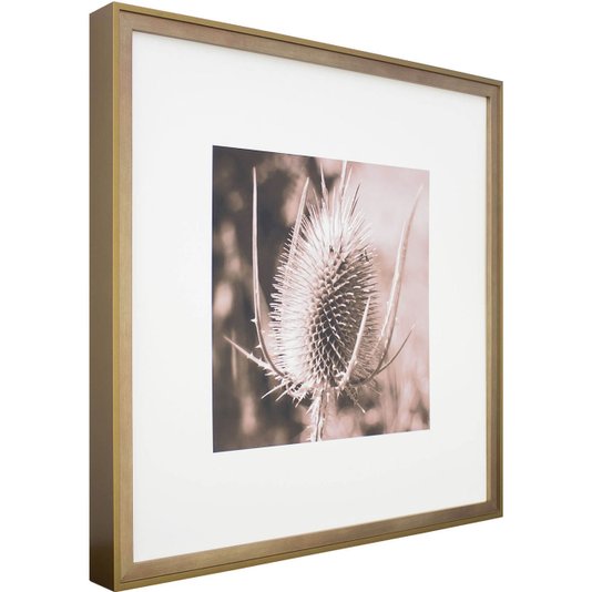 Quadro com Moldura na Cor Dourada Flor Cardo Tom Sépia 50x50cm