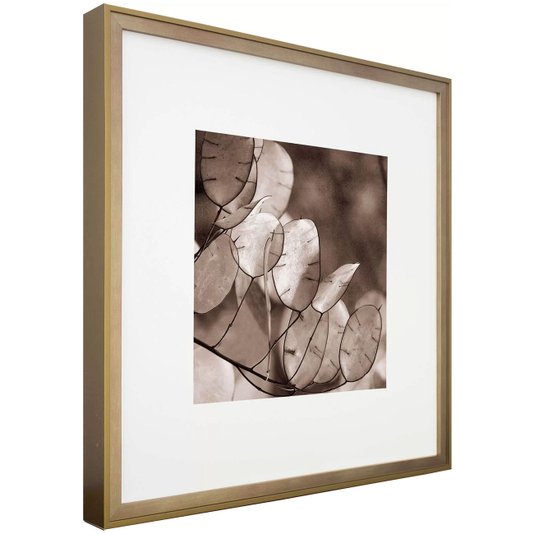 Quadro com Moldura na Cor Dourada Folhas Tom Sépia 50x50cm