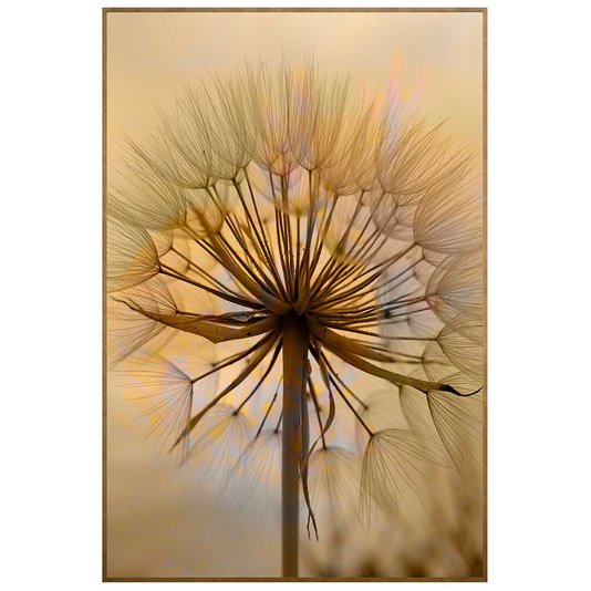 Quadro Decorativo com Moldura Natural Tingida Flor Dente de Leão