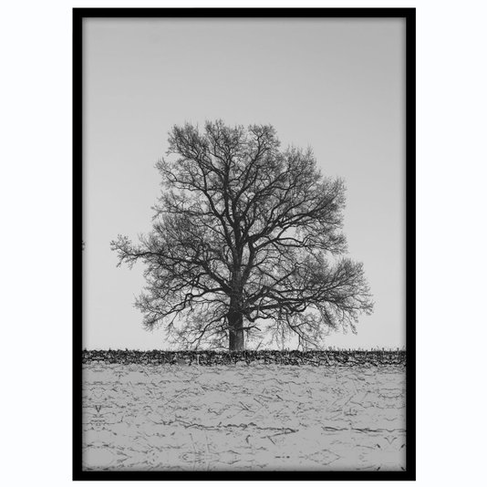 Quadro com Moldura Preta Árvore em Preto e Branco - Escolha o Tamanho