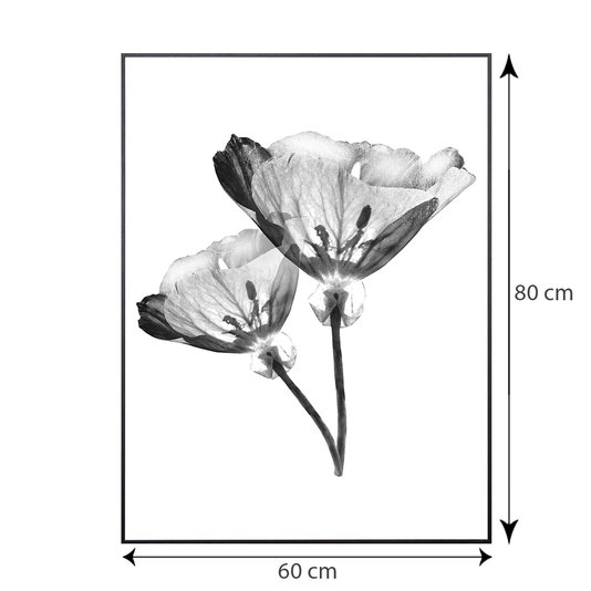 Quadro com Moldura Preta Par de Flores Efeito Raio-X 60x80cm
