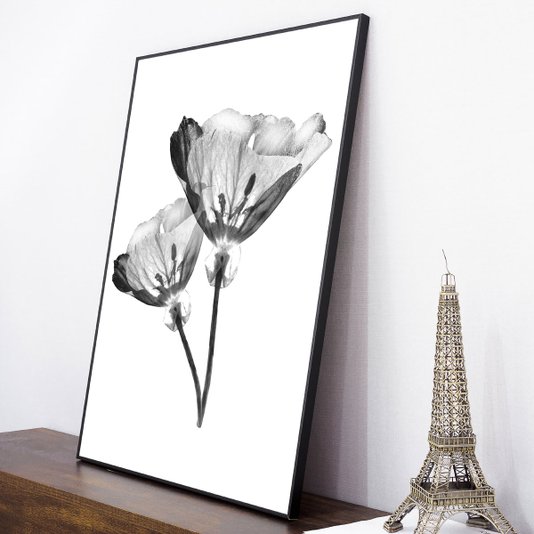 Quadro com Moldura Preta Par de Flores Efeito Raio-X 60x80cm