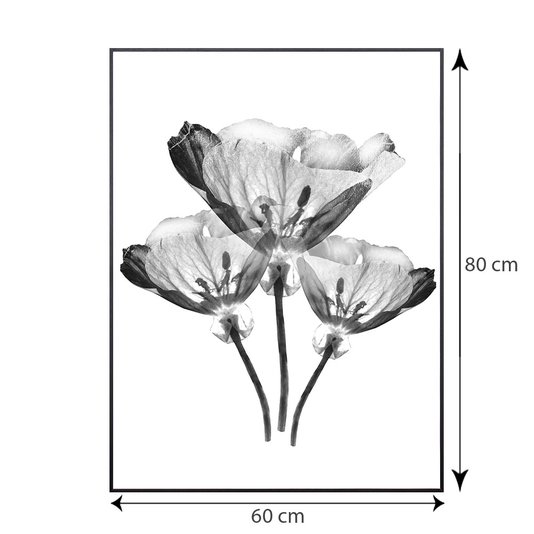 Quadro com Moldura Preta Trio de Flores Efeito Raio-X 60x80cm