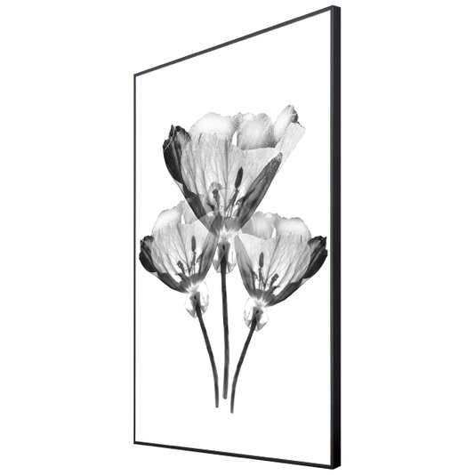 Quadro com Moldura Preta Trio de Flores Efeito Raio-X 60x80cm