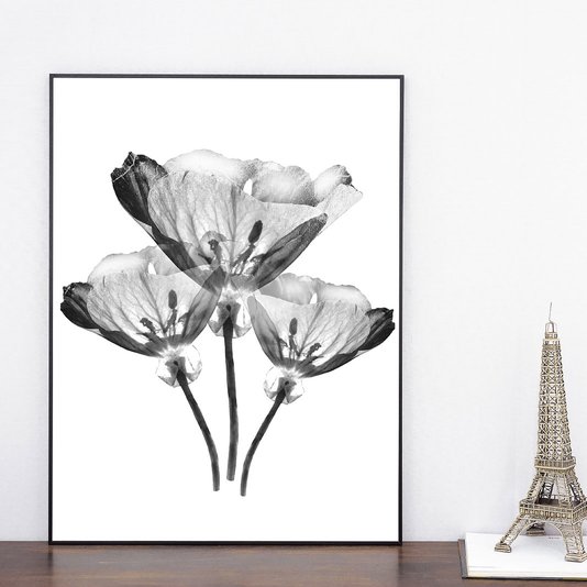 Quadro com Moldura Preta Trio de Flores Efeito Raio-X 60x80cm