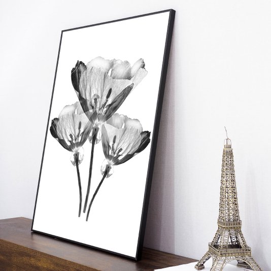 Quadro com Moldura Preta Trio de Flores Efeito Raio-X 60x80cm