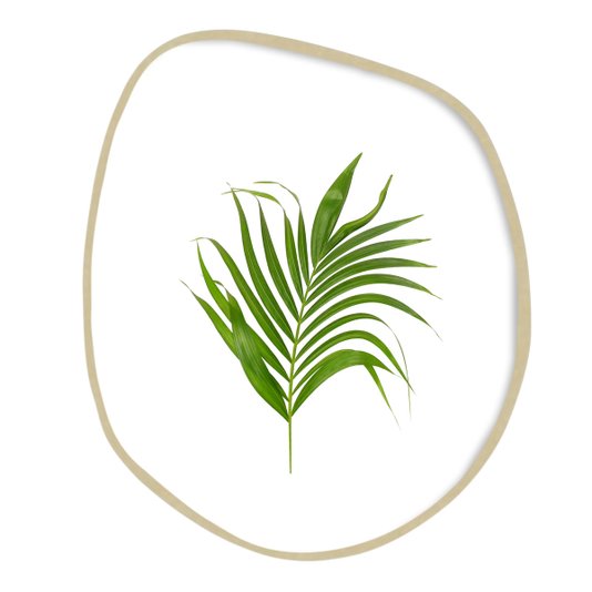 Quadro de Folhas de Palmeira Tropical | Formato Orgânico com Madeira Moldura Marupá