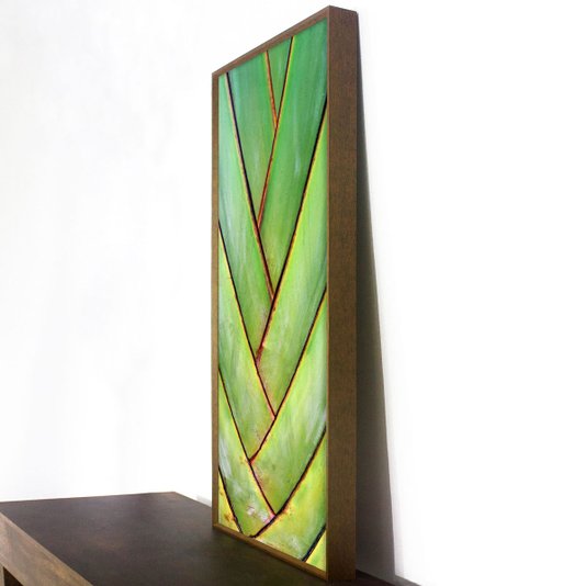 Quadro Decorativo Close Base Palmeira dos Viajantes 50x120 cm