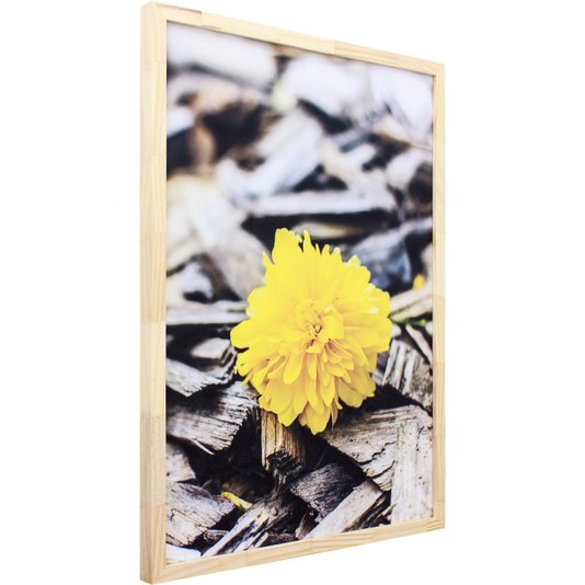 Quadro Decorativo com Impressão Personalizada Flor Amarela 50x70cm
